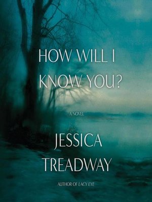 cover image of How Will I Know You?